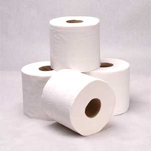 Toilet Tissue